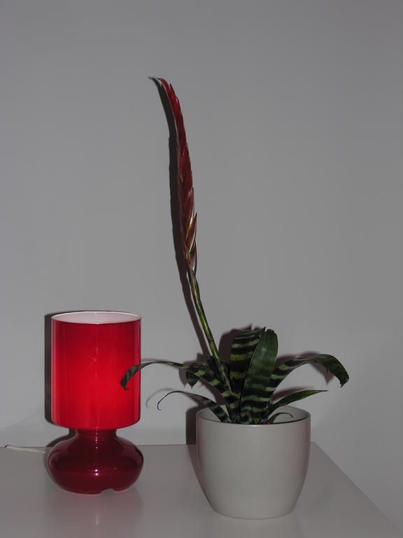 Apartament Amaryllis Krakow Luaran gambar