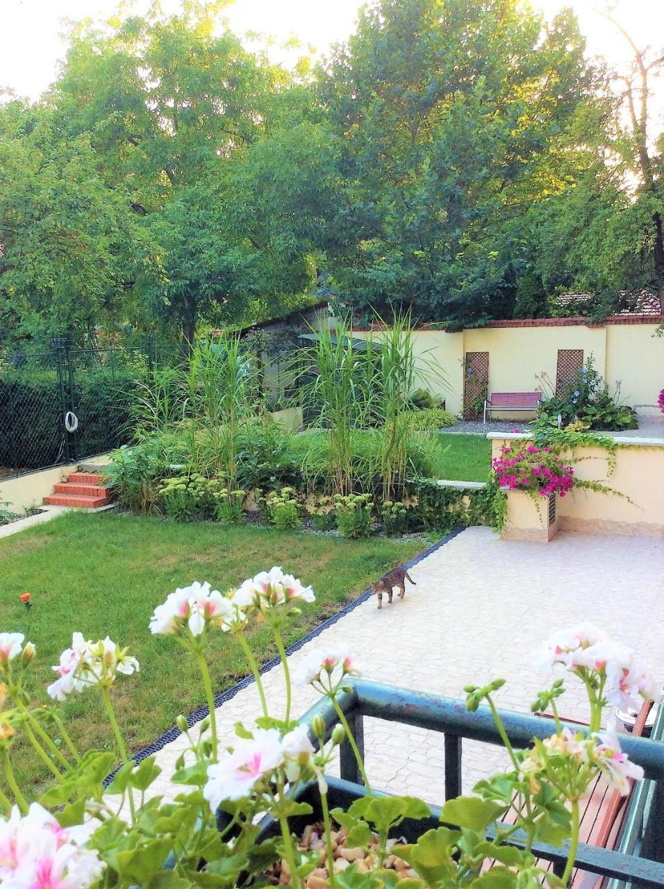 Apartament Amaryllis Krakow Luaran gambar